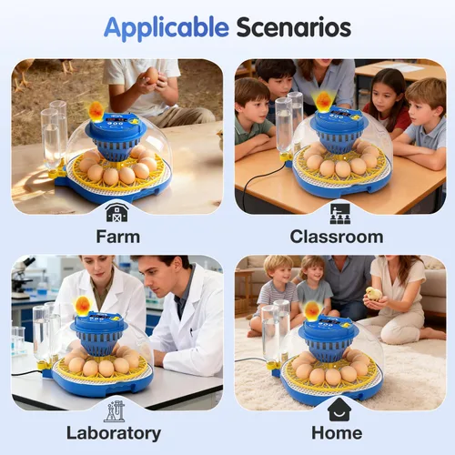 Miniatura 6 de Incubadoras de huevos de gallina para incubar huevos, incubadora de 12 huevos con giro automático de huevos y control de humedad, incubadoras