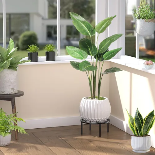 Miniatura 6 de Soporte para plantas de 7.9 pulgadas, 1 PIC, soporte para macetas de metal, para interiores, alto, 3.5 pulgadas, estante elevador de plantas