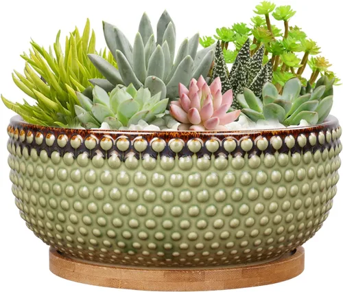 Miniatura 14 de Macetas para suculentas de 8 pulgadas - Macetas de bonsái de cerámica para plantas de interior, maceta con agujero de drenaje y platillo, maceta