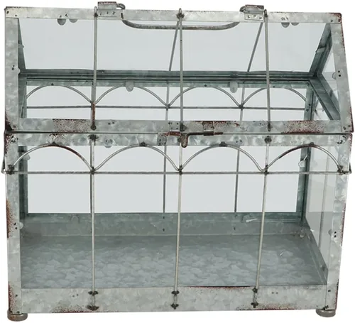 Miniatura 2 de Esschert Design ZB22 - Invernadero/terrario de aspecto vintage, metal galvanizado envejecido, mediano, plateado