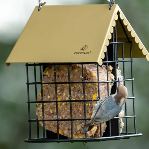 Miniatura 8 de Kingsyard Comedero doble de sebo para pájaros con techo a prueba de inclemencias del tiempo y percha, todo de metal, comedero de sebo para pájaros