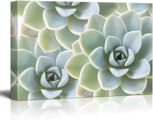 Miniatura 9 de wall26 Lienzo decorativo para pared, diseño de planta suculenta sobre fondo de estilo retro, arte moderno para el hogar, listo para colgar, 12.0 x