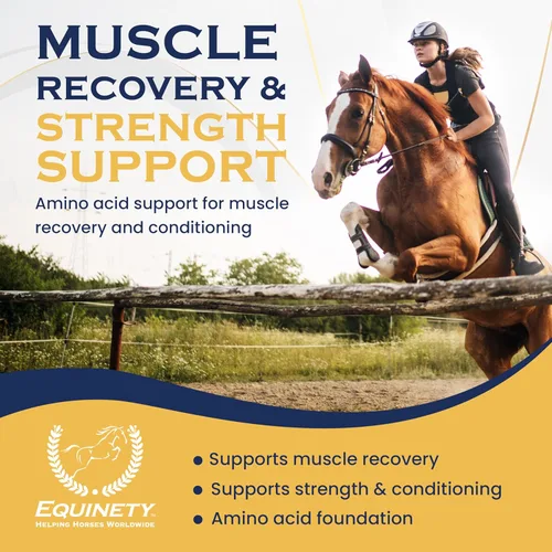 Miniatura 3 de Productos de Equinety Horse