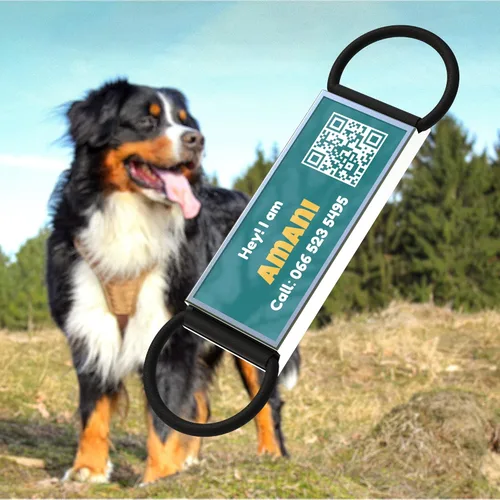 Miniatura 2 de Etiqueta de identificación de perro deslizable con código QR, etiqueta silenciosa personalizada personalizada para mascotas - Gratis en línea