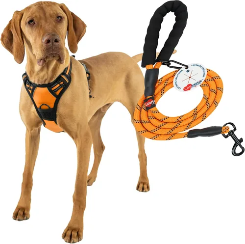 Miniatura 13 de Arnés sin tirones para perro, con correa fuerte y duradera y soporte para bolsas de excrementos, juego de 3 piezas Arnés reflectante sin