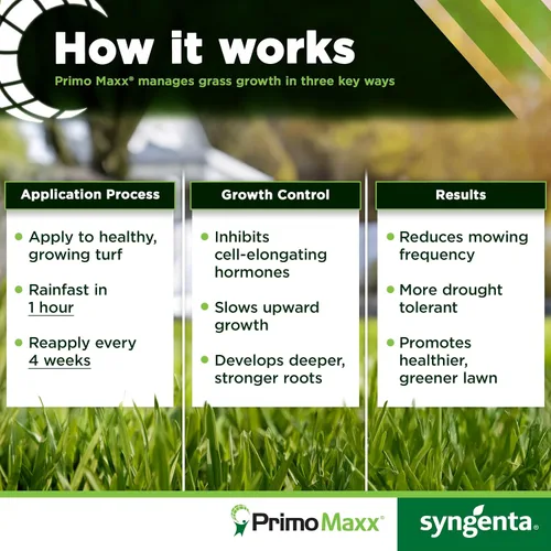 Miniatura 4 de Regulador de crecimiento de plantas Primo Maxx