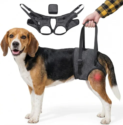 Arnés de elevación para perros para patas traseras, soporte resistente para perros, soporte de cadera para caninos grandes y medianos, ayudante de