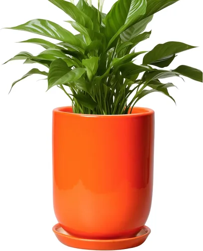 Miniatura 49 de Maceta de Cerámica para Plantas de Interior de 5 Pulgadas - Maceta Redonda para Plantas Suculentas con Agujero de Drenaje y Platillo, Decoración