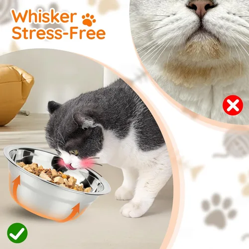 Miniatura 5 de Cuencos elevados para gatos, cuencos elevados de comida para gatos, cuencos inclinados en 15° para gatos, cachorros, perros pequeños, cuenco elevado