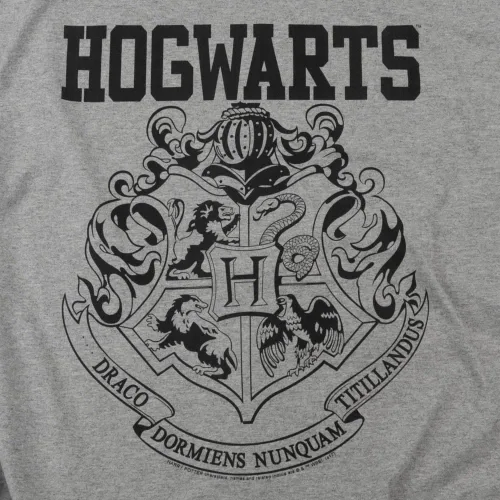 Miniatura 3 de Popfunk Camiseta con el logotipo de Harry Potter Hogwarts