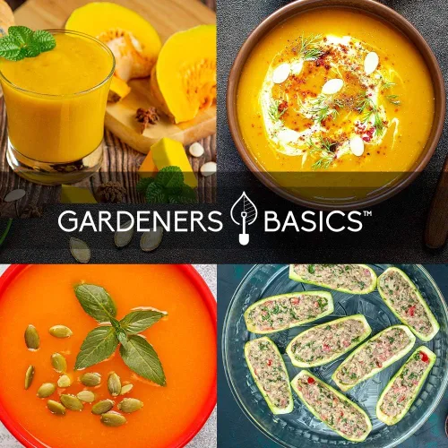 Miniatura 6 de Gardeners Basics, Semillas de calabaza para plantar 5 paquetes individuales: calabacín, delicata, mantequilla, espaguetis y cuello de torcido dorado