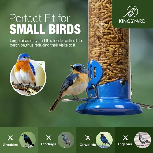 Miniatura 3 de Kingsyard Alimentador para Azulejos Mejorado para Colgar al Aire Libre, Tubo de Metal para Gusanos de la Harina con Percha Ensanchada para Pájaros