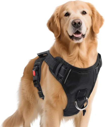 Arnés para perro sin tirón con 2 clips de correa, chaleco reflectante ajustable y acolchado con asa, chaleco Oxford transpirable sin