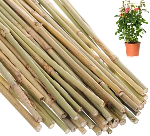Miniatura 9 de Suclain Juego de 100 estacas de bambú para plantas trepadoras, estacas de bambú resistentes para plantas trepadoras, tomates, frijoles, flores