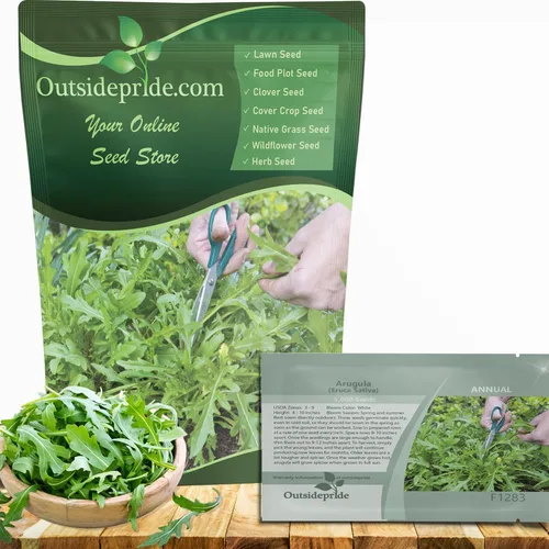 Outsidepride Semillas de rúcula y microgreens – 1/4 libra anuales, fáciles de cultivar y aptas para polinizadores, semillas de hierbas para plantar