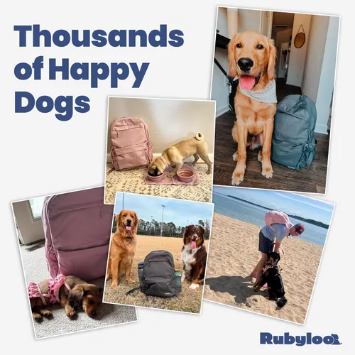 Miniatura 7 de Bolsa de viaje para perros – Mochila completa para pañales para perros con 2 cuencos de viaje sin BPA, bolsa de golosinas, contenedor de alimentos