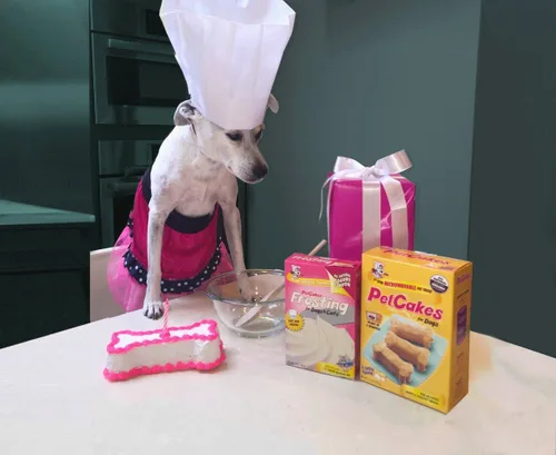Miniatura 2 de Kit de Pastel de Cumpleaños para Perros PetCakes - Golosinas Completamente Naturales - De Cachorros a Perros Grandes, Sabor a Algarrobo - 5.5 Oz