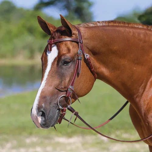 Miniatura 2 de Schneiders Double S Latigo Lined Futurity Browband Headstall Premium Horse Headgear Soft Latigo Lining Adjustable Size Durable Harness