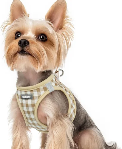 Miniatura 25 de rabbitgoo Arnés para perro pequeño, chaleco de malla suave para cachorros con hebilla de seguridad, arnés reflectante transpirable para mascotas