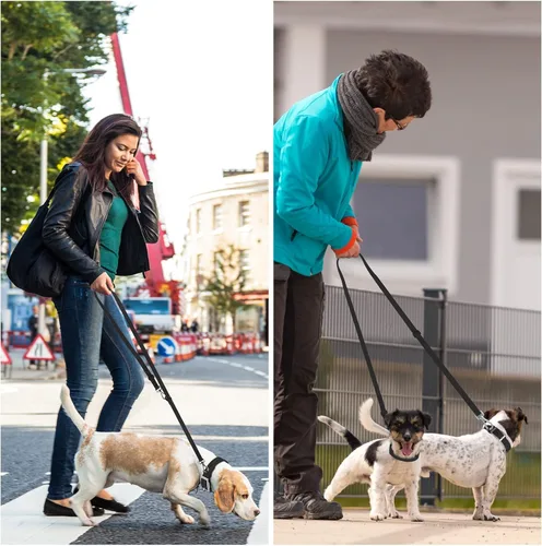 Miniatura 4 de Wisedog Correa impermeable para perro, ajustable de 5 pies/6 pies con 2 ganchos giratorios de metal, correas de perro fáciles de limpiar para perros