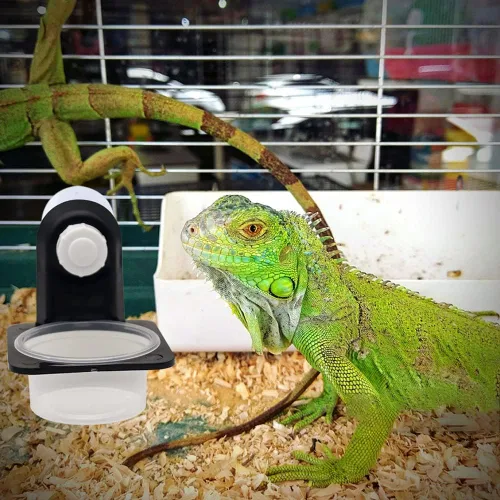 Miniatura 5 de Repisa de alimentación Gecko de doble cresta con 10 cuencos de 0.5 onzas, comedero desmontable con ventosa para reptiles para lagartos, tortugas