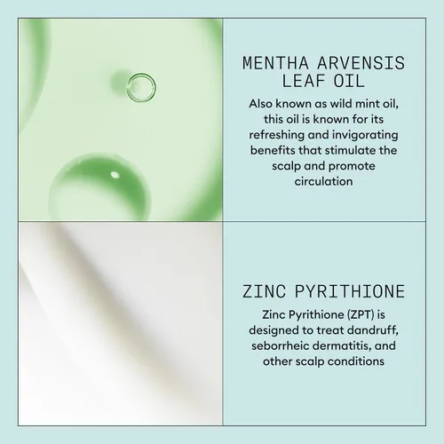Miniatura 6 de Nioxin Scalp Recovery Purifying Shampoo For Itchy, Flaky Scalp Anti-Dandruff Formulated with Pyrithione Zinc