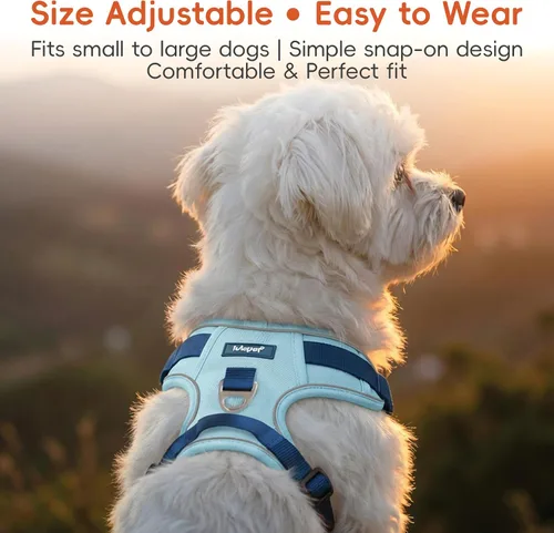 Miniatura 5 de Arnés para Perro Sin Tirones, Juego de Correa y Collar, Chaleco Suave y Ajustable para Perros, Reflectante y con Mango Cómodo Azul, Talla Pequeña