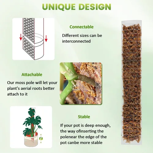 Miniatura 3 de EOX Paquete de 6 postes de musgo de plástico de 24 pulgadas x 2 + 36 x 2 + 48 pulgadas x 2 para Monstera, postes grandes en forma de D para plantas