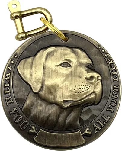 Etiquetas de perro personalizadas cobre vintage, identificación de encargo del animal doméstico del retriever del labrador con letras Labrador