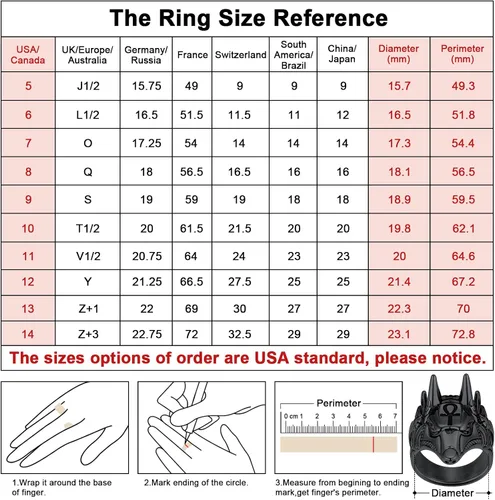 Miniatura 4 de FaithHeart Anubis - Anillos para hombres y mujeres, joyería de acero inoxidable resistente, anillo de amuleto de cruz Ankh, embalaje delicado, Acero