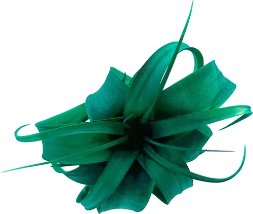 Miniatura 9 de ragnaroc Air Plants - Tillandsia Xerographica Pup teñido, grande de 2-4 pulgadas (verde azulado Miami) - 1 unidad - Llegada en vivo garantizada