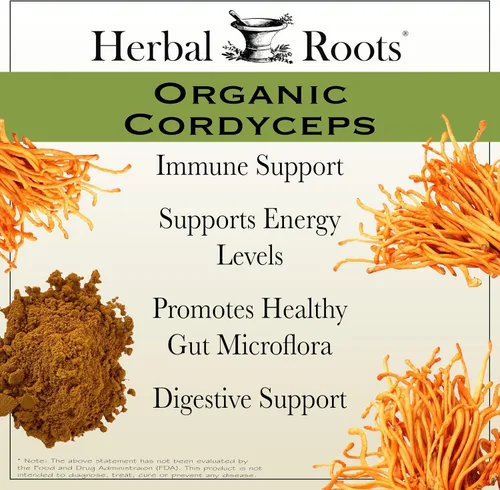 Miniatura 3 de Herbal Roots Organic Cordyceps - Cápsulas de hongos con extracto corporal fructífero - Apoyo inmunológico y energético - 60 cápsulas veganas
