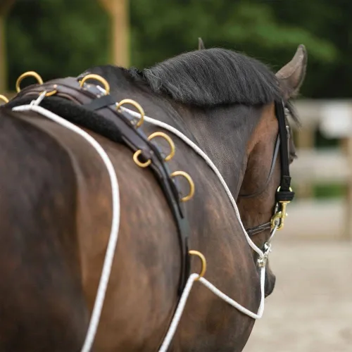 Miniatura 8 de Sistema de entrenamiento europeo avanzado Herramienta de entrenamiento avanzada Mejora el carro de caballos y los auriculares Fomenta