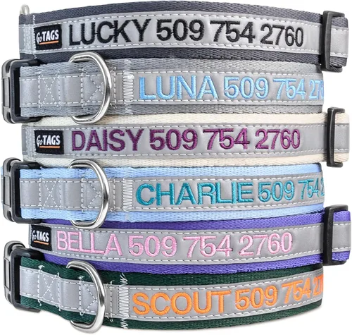 Collar de perro reflectante personalizado, bordado personal con nombre y teléfono de la mascota, color azul, negro, rosa, rojo y naranja. Collares