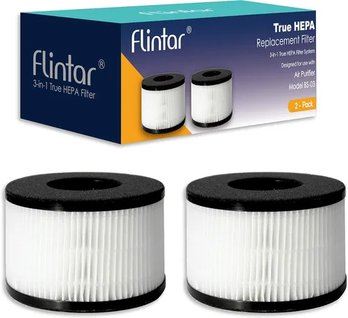 Filtro de repuesto BS-03, compatible con PARTU y SLEVOO BS-03 HEPA purificador de aire, paquete de 2