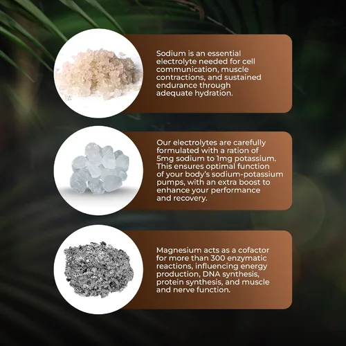 Miniatura 5 de Santa Cruz Paleo Cápsulas de electrolitos para apoyo de hidratación, cero azúcar, suplemento de magnesio, potasio, sodio y calcio, apto para dieta