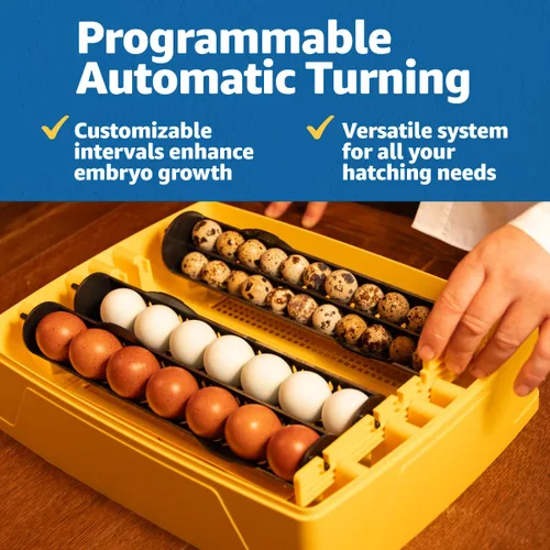 Miniatura 7 de Brinsea Ovation 28 EX Incubadora para incubar huevos con control automático de humedad - Incubadora de huevos de pollo totalmente automática