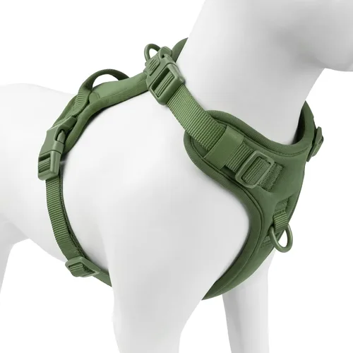 Arnés sin tirones para perro, chaleco para cachorros con clip frontal para perros pequeños, medianos y grandes (verde niebla, M)