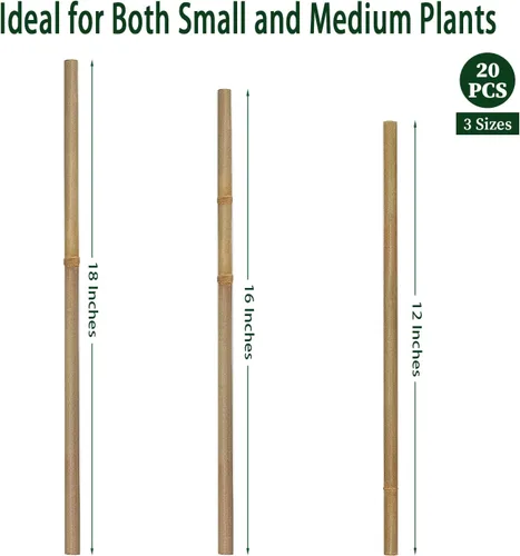 Miniatura 6 de BOVITRO - Estacas para plantas, palitos de bambú natural de jardín de 18 pulgadas, 20 estacas de apoyo para plantas de tomates, frijoles, vegetales