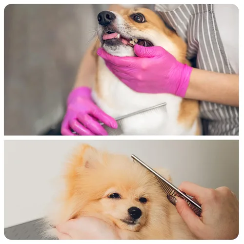 Miniatura 7 de PETTOM Herramienta de aseo de acero para mascotas, peine de mantequilla de acabado de caniche de 7 1/2 pulgadas, peines plateados para perros