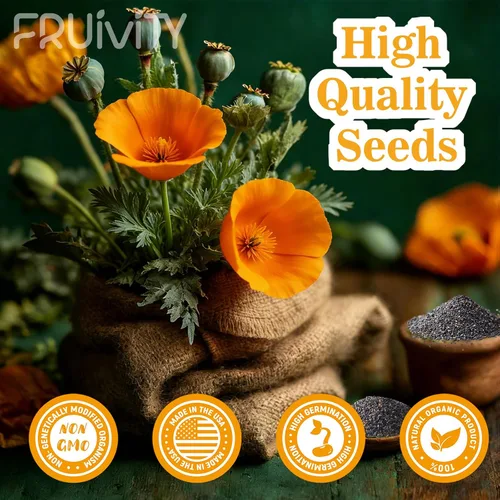 Miniatura 3 de Eschscholzia californica - Semillas de amapola de California (0.35 oz – más de 10.000 semillas) – Flores silvestres nativas a granel para plantar