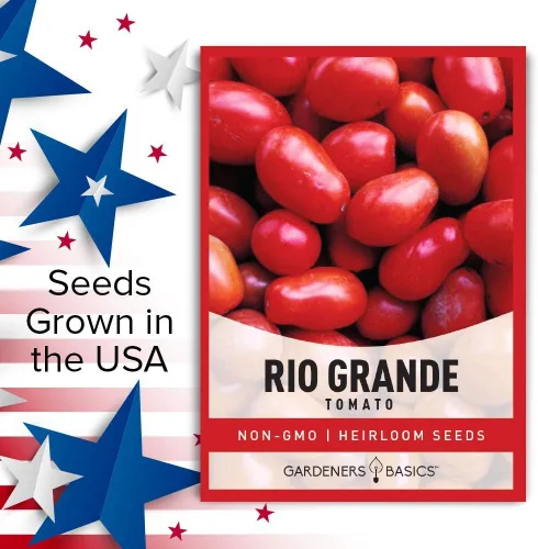 Miniatura 5 de Gardeners Basics Semillas de tomate Rio Grande para plantar semillas tradicionales sin OMG para verduras de jardín casero son un gran regalo