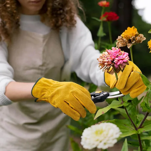 Miniatura 4 de OZERO 5 pares de guantes de trabajo de cuero Flex Grip, guantes de jardinería de piel de vaca resistentes para corte de oro (5 pares)