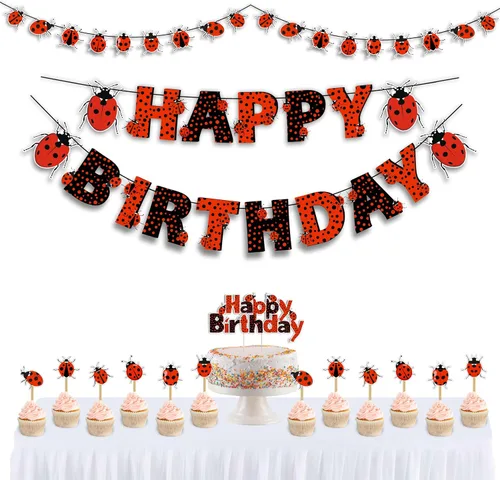 Suministros de fiesta de cumpleaños con temática de mariquita: bonito juego de decoración de fiesta inspirado en insectos para celebraciones de