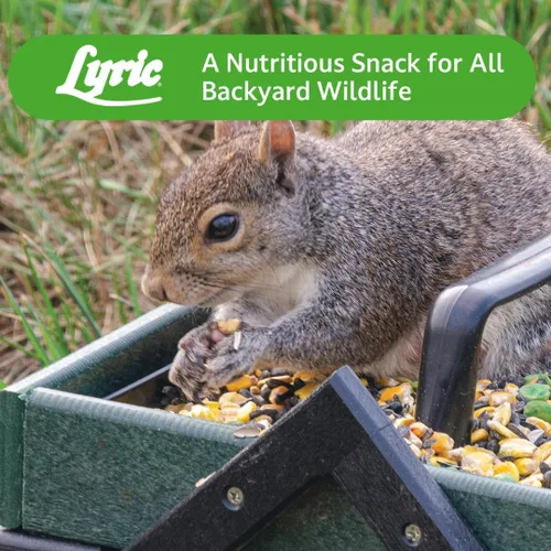 Miniatura 9 de Lyric Alimento para Vida Silvestre para Ciervos, Ardillas, Pavos y Conejos, Semillas para Pájaros Silvestres para Comederos Exteriores, Bolsa de 10