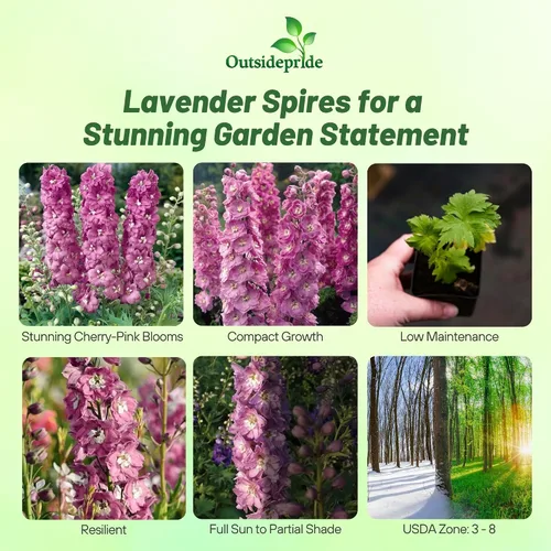 Miniatura 2 de Outsidepride Magic Fountains Delphinium Seeds - 100 semillas de flores perennes, autosembradas, tolerantes al calor y la sequía para plantar flores