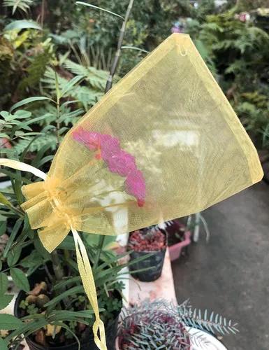 Miniatura 7 de Jexila 100 bolsas de regalo de organza dorada de 4 x 6 pulgadas, pequeñas bolsas de malla con cordón, bolsas para joyas, bodas, fiestas, bolsas