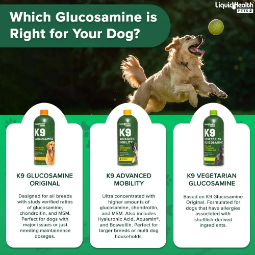 Miniatura 7 de LIQUIDHEALTH Pets K9 Nivel de glucosamina líquida 5000 para perros grandes con condroitina, MSM, Boswellia Serrata – Vitaminas para la salud