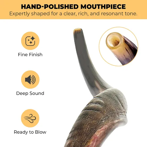 Miniatura 2 de YOMTOV-SHALOM Kudu Shofar Shofar en venta Kosher de Israel 35-39 pulgadas