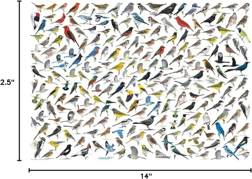 Miniatura 4 de EuroGraphics El mundo de los pájaros (1000 piezas) Puzzle